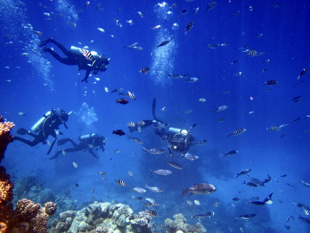 A Komodo Charter for a Celebration or Birthday