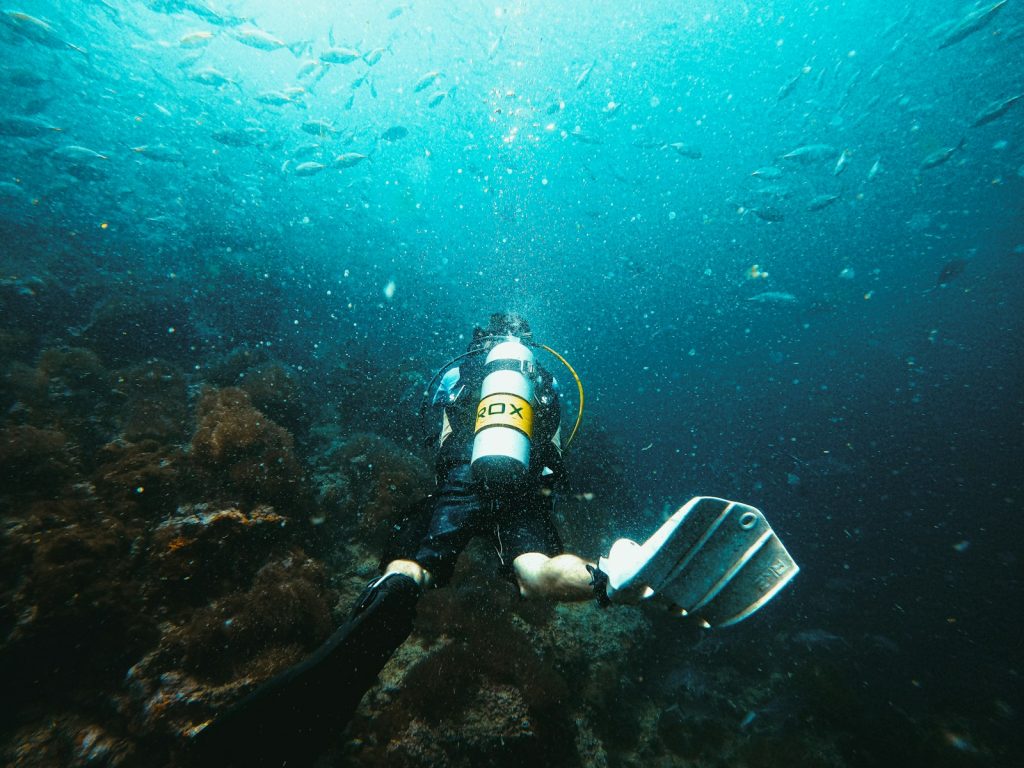 Komodo vs Raja Ampat Private Charter